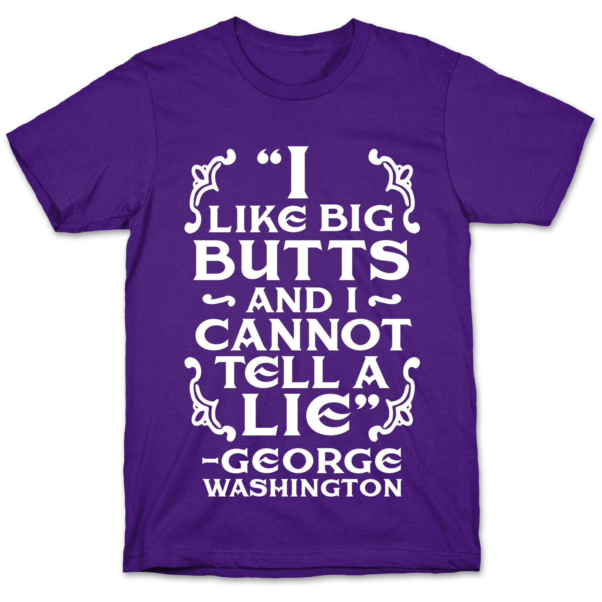 I Like Big Butts And I Cannot Tell A Lie  T-Shirt